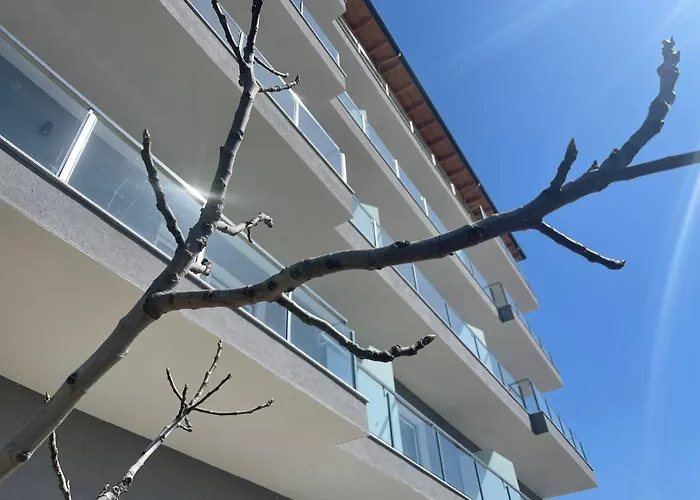 Angel Palace 호텔 *