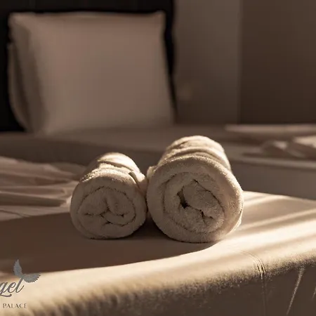Hotel Angel Palace