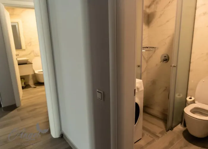 Hotel Angel Palace *